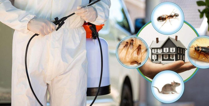 Gürsu Böcek İlaçlama