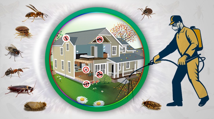 Gürsu Böcek İlaçlama