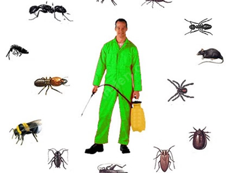 Gürsu Böcek İlaçlama